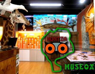 Hontza Museorako sarrerak