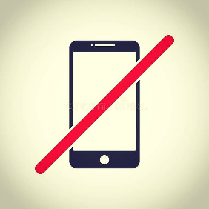 Telefonoarekin arazoak dituzte Ahalduntze Eskolan