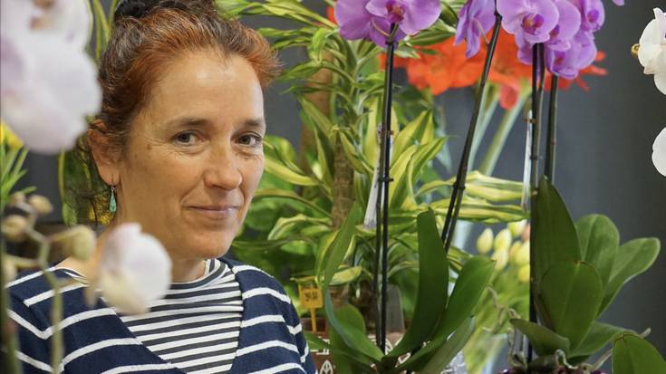 "Normalean ur gehiegi botatzeagatik hiltzen dira etxeko landareak"
