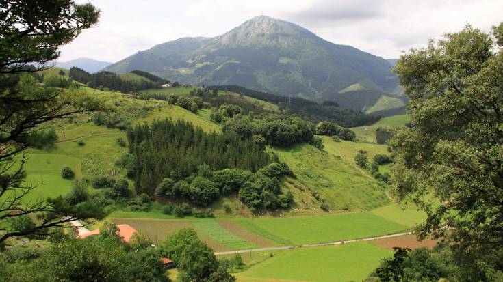 Pagoetan basogintzako lanetan