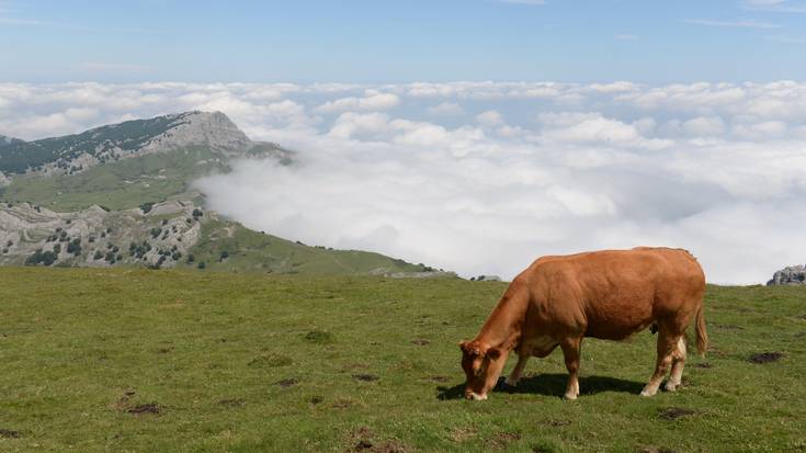 Talai Mendik Gorbeiara egun pasa antolatu du apirilaren 28rako
