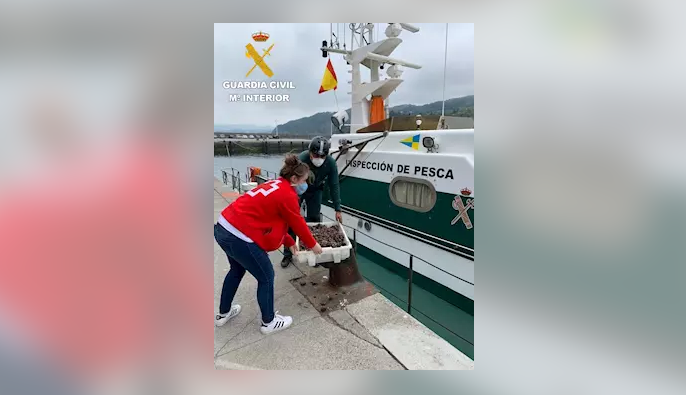 Guardia Zibilak salaketa jarri dio pertsona bati Orioko itsasaldean itsaskiak harrapatzeagatik